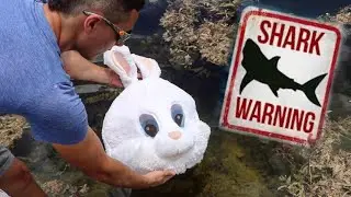 EASTER BUNNY Catches REAL Life BABY JAWS!!