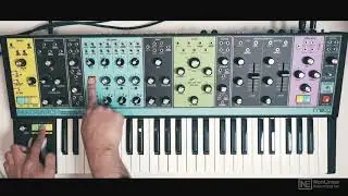 Moog Matriarch 101: Moog Matriarch: The Video Manual - 3. Paraphony Explained