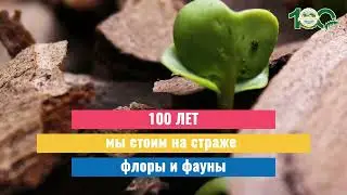 Вступай в ряды активистов Всероссийского общества охраны природы