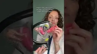 How to insert a menstrual cup 
