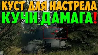 ЗАЙМИ ЭТОТ КУСТ НАПРОТИВ ТОЛПЫ ВРАГОВ, БУДУТ ГОРЫ ДАМАГА!