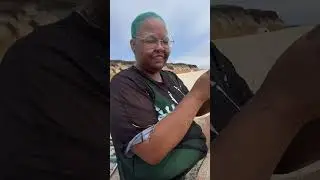 Dog Ruins Picnic by Kicking Up Beach Sand