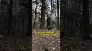 Этим летом на всех турниках страны