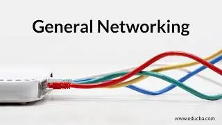 Different types of networks (LAN, MAN, WAN, VPN)