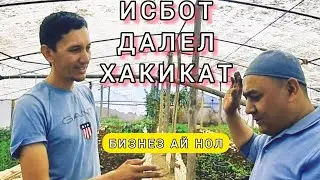 БИЗНЕС ДАР ТОЧИКИСТОН АЗ НОЛ