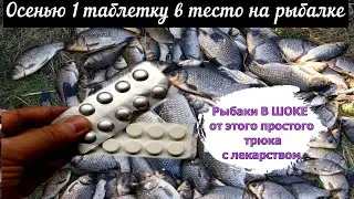 Рыбаки В ШОКЕ от этого простого трюка с лекарством. Осенью Супер рыболовная насадка.