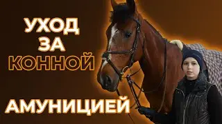 Уход за конноспортивной амуницией