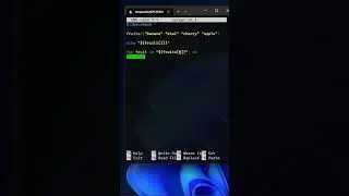 Bash shell scripting ARRAYS for beginner to advanced 
