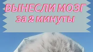 ВЫНЕСЛИ МОЗГ за 2 минуты! Это надо ж так суметь?!