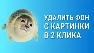 Как сделать png картинку? Kак убрать фон на фото на телефоне? Как удалить фон онлайн?