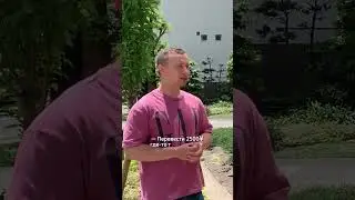Как получить ВОДИТЕЛЬСКИЕ ПРАВА В ЯПОНИИ