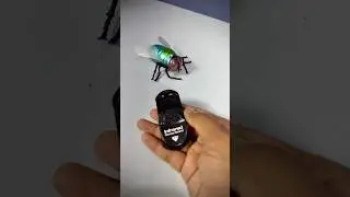 Remote Control Simulation Housefly