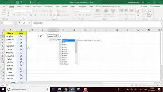 Excel function COUNTIF: Count specific values with a formula