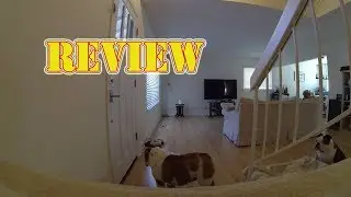 Review Furbo Dog Camera Treat Tossing 2018