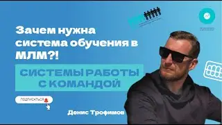 Системы работы с командой | Денис Трофимов | Сово-Сова