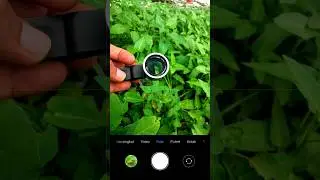 Foto makro dengan kamera hp + lensa makro