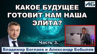 Владимир Боглаев. КАКОЕ БУДУЩЕЕ ГОТОВИТ НАМ НАША ЭЛИТА?  3/3