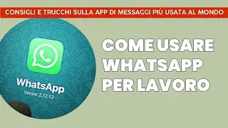 Come usare Whatsapp e renderlo un perfetto strumento di lavoro.