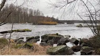 Река Суойоки, Суоярвский район, р. Карелия. Ноябрь 2021.