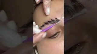 #brows