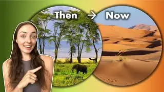 All the Times The Sahara Desert Was Green (or Even Ice-Covered)! GEO GIRL