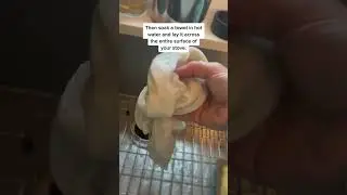 How to clean your glass stove top