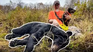 Blood Trailing Dog Tracks a Black Bear in West Virginia