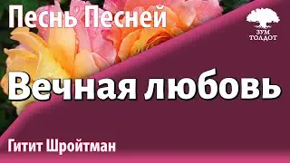 Урок для женщин. Вечная любовь. Гитит Шройтман