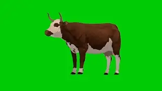 Cow Green Screen HD Part-1/Green Screen Cow/Green Screen Video