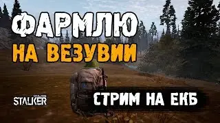 Фармлю на Везувии. Стрим на 