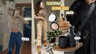 много-много покупок на осень 2022 ☕️🍂 lime, terranova, sinsay, wildberries, золотое яблоко