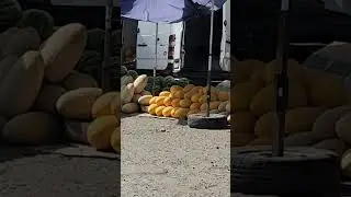 Регар 