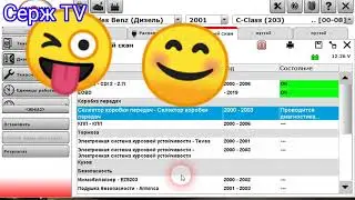 Отзыв о Авто диагностике для начинающих