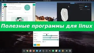 Полезные программы для linux - мультимесенжер, чтение текста голосом, настройка мыши