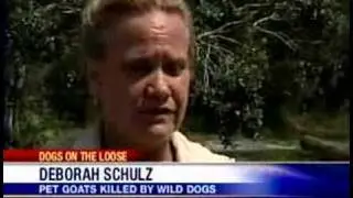 Community Concerned When Wild Dogs Slaughter Goats