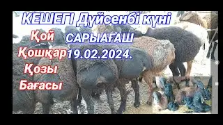 САРЫАГАШ МАЛ БАЗАРЫ | ҚОЙ ҚОШҚАР ҚОЗЫ БАҒАСЫ | МАЛ БАЗАР 2024 | Сарығаш мал базары 2024