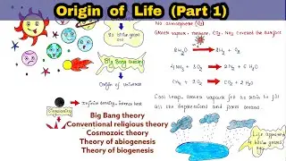 Origin of life | Part 1| Big Bang Theory | Theories of origin of life | Evolution