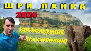 ШРИ-ЛАНКА 2024. ЛУЧШИЕ МЕСТА НА ШРИ-ЛАНКЕ. ВОСХОЖДЕНИЕ НА СИГИРИЮ И БАШНЯ АМБУЛУВАВА!