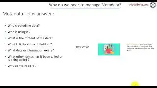 What questions does Metadata Management helps us to answer?