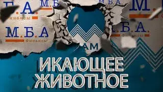 ПРИКОЛ ЗАИКАЮЩЕЕСЯ ЖИВОТНОЕ ИЗ МБА ФИНАНСЫ | Как не платить кредит | Кузнецов | Аллиам