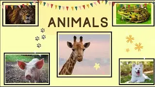 Animals for kids | Vocabulary Flashcards