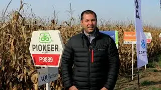 Andrei Ciocoiu- CMM Seeds Corteva Agriscience despre hibridul de porumb Pioneer P9889