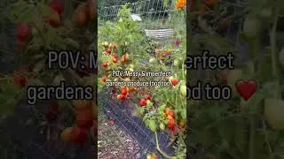 Imperfect Gardens Produce Food