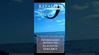 Рыбалка на кефаль! Почему не клюёт кефаль ??? Как ловить кефаль???