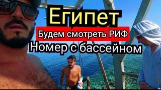 Египет🇪🇬МЕНЯ ПЕРЕСЕЛИ  Sea Beach Aqua Park Resort4 Район Набк Шарм Эль Шейх Питание и Подводный мир