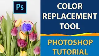 How to Change Colors Easily with the Color Replacement Tool in Photoshop