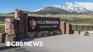 Suspect dead after shooting at Yellowstone National Park