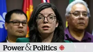 NDP MP billed taxpayers for $17K trip with family | Power & Politics