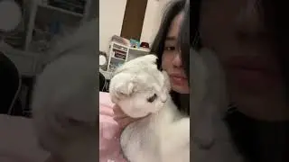 Anak Jessica Yang Durhaka