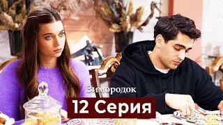 Зимородок 12 Cерия (Русский дубляж)